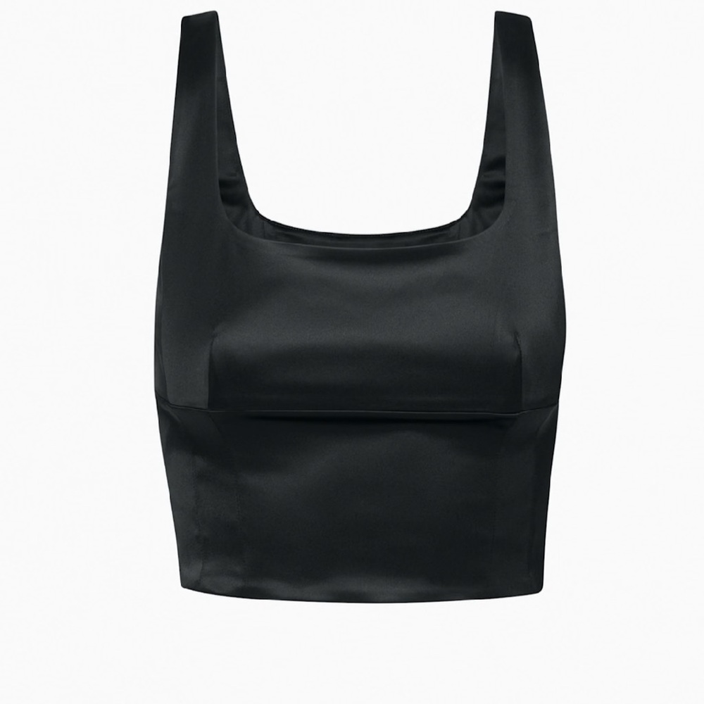 Aritzia Shine Satin Bustier